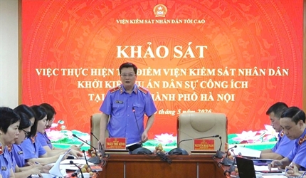 VKSND tối cao khảo sát việc thực hiện thí điểm khởi kiện vụ án dân sự...
