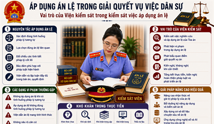 Áp dụng án lệ trong giải quyết vụ việc dân sự và vai trò của Viện kiểm...