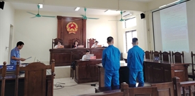Viện kiểm sát và Tòa án nhân dân khu vực 6, thành phố Hà Nội...