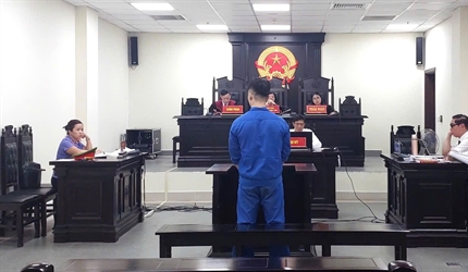 Viện KSND thành phố Hà Nội phối hợp tổ chức phiên toà hình sự rút kinh...