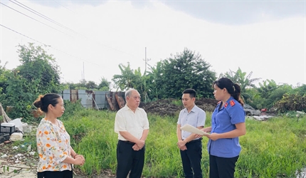 Viện KSND Khu vực 10 xác minh, thu hồi 21.547 m² đất nông nghiệp bàn...