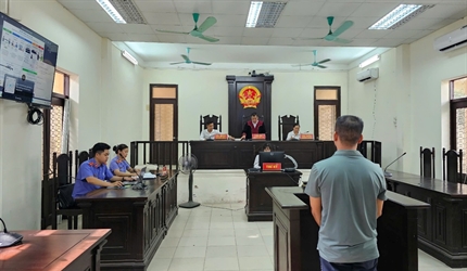 Viện KSND khu vực 9 - Hà Nội tổ chức phiên tòa số hóa xét xử vụ án tàng...