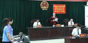 Tòa chấp nhận yêu cầu khởi kiện của Viện kiểm sát trong vụ án...