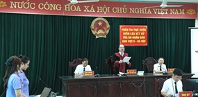 Tòa chấp nhận yêu cầu khởi kiện của Viện kiểm sát trong vụ án...