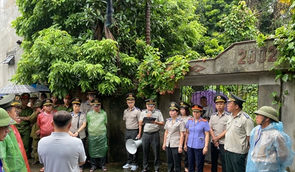 Viện KSND khu vực 7 kiểm sát cưỡng chế chuyển giao tài sản, phối hợp...
