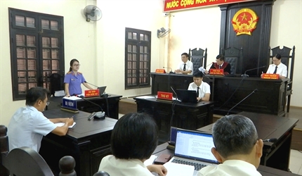 Tòa chấp nhận yêu cầu của Viện kiểm sát, buộc 2 doanh nghiệp nộp hơn 3...