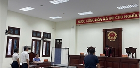 VKSND khu vực 4 khởi kiện vụ án dân sự công ích: Buộc doanh...
