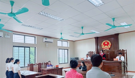 Viện KSND khu vực 11 khởi kiện thành công vụ án dân sự công ích trong...