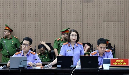 Viện kiểm sát nhân dân thành phố Hà Nội thực hành quyền công tố và kiểm...