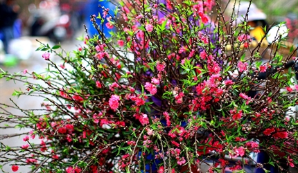 Công bố chính thức lịch nghỉ các dịp nghỉ lễ trong năm 2016