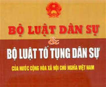 Trao đổi về phát biểu của Kiểm sát viên theo Điều 262 Bộ luật Tố tụng dân sự...