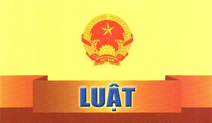 Luật thống kê năm 2015  - cơ sở pháp lý cho hoạt động thống kê, sử dụng...